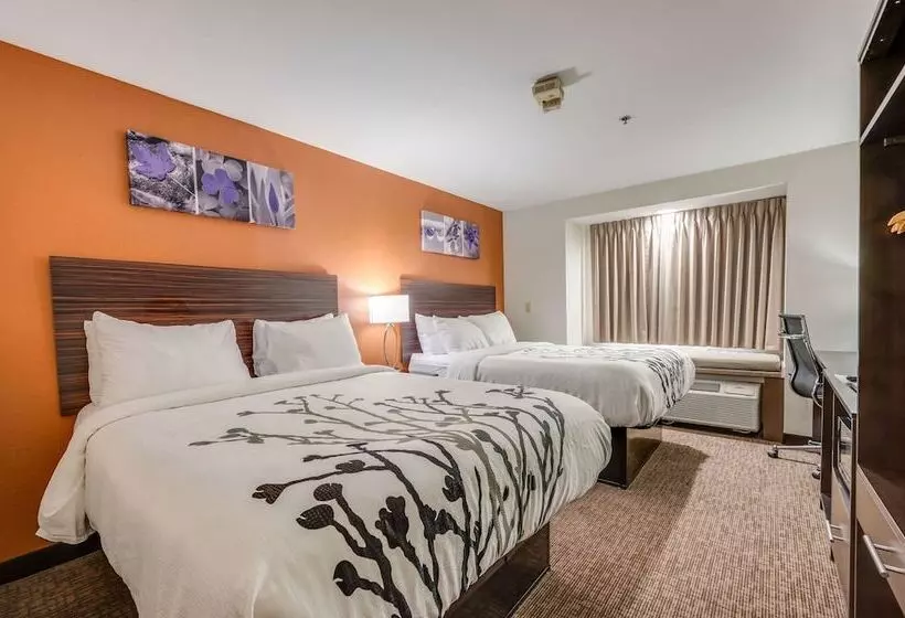 酒店 Sleep Inn & Suites