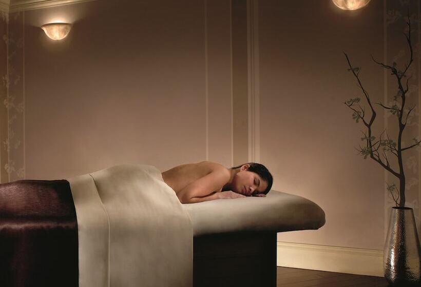 هتل The Ritzcarlton Coconut Grove, Miami