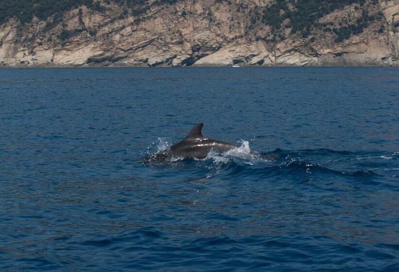 ベッドアンドブレックファースト Affittacamere Mariella