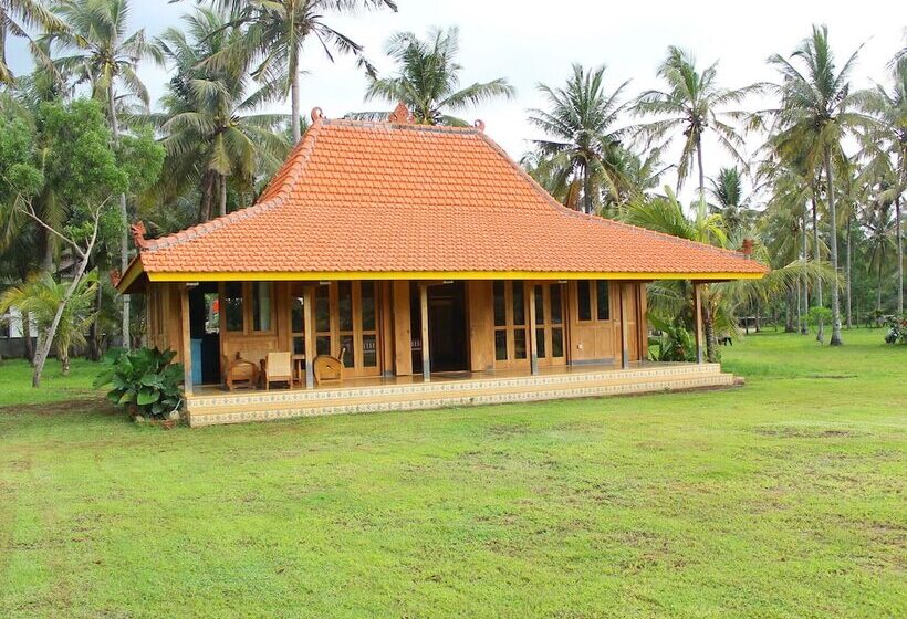 住宿加早餐  Desa Limasan Resort