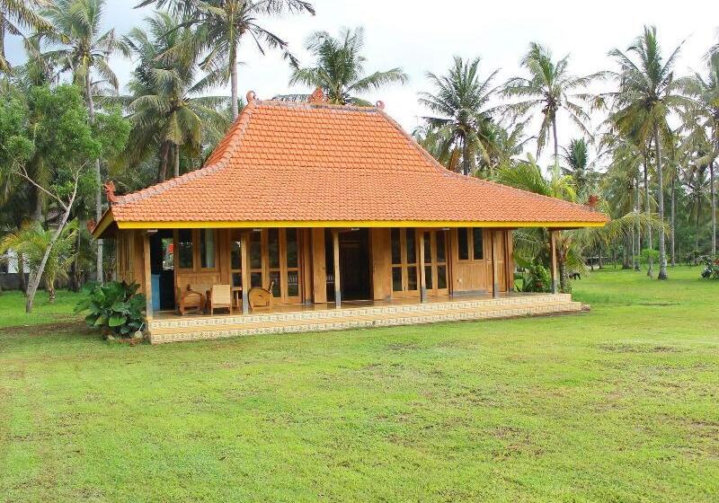 住宿加早餐  Desa Limasan Resort