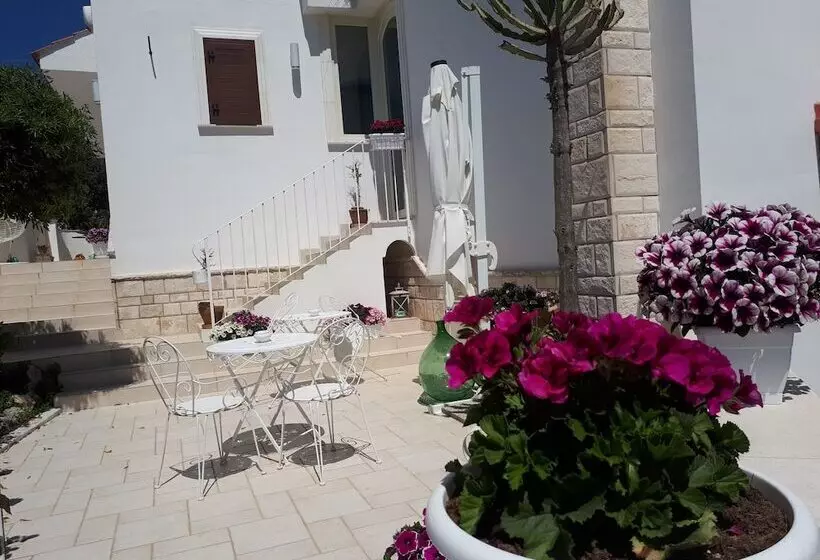 Aamiaismajoitus (B&B) Vento D'amare