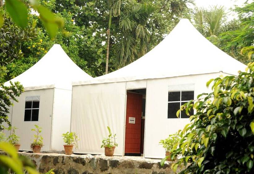 Coorg Jungle Kids Resort