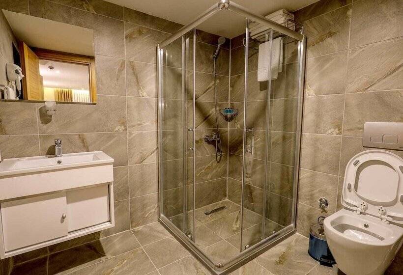 Отель Grand Elmira Suites