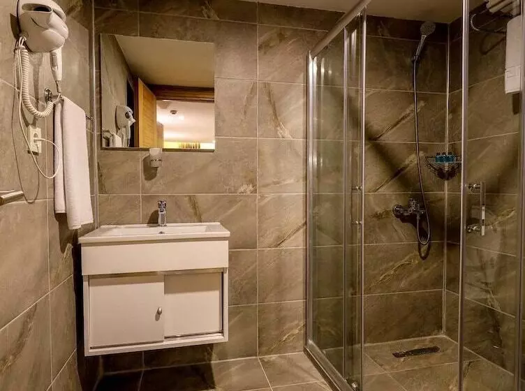 ホテル Grand Elmira Suites