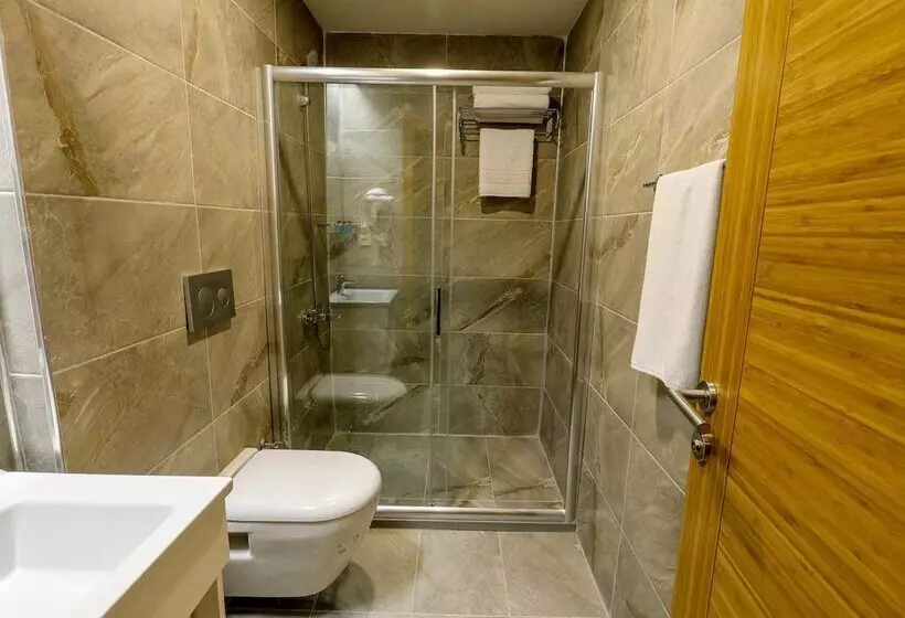 ホテル Grand Elmira Suites