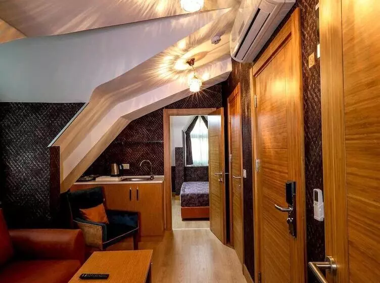 ホテル Grand Elmira Suites