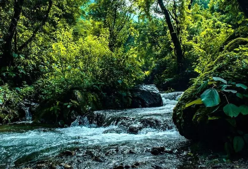 Hotelli Haut Monde Hill Stream Resort And Spa