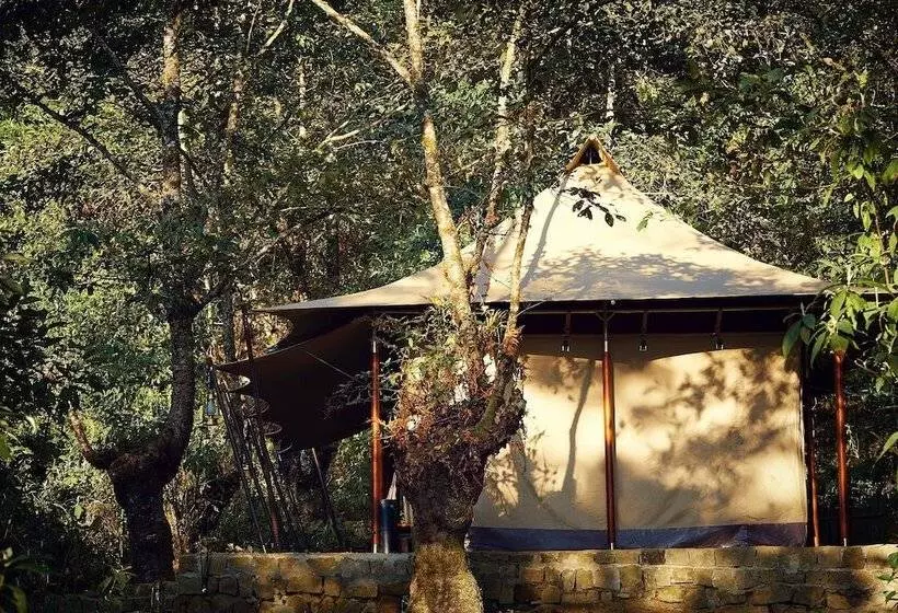 ホテル Kohima Camp Nagaland