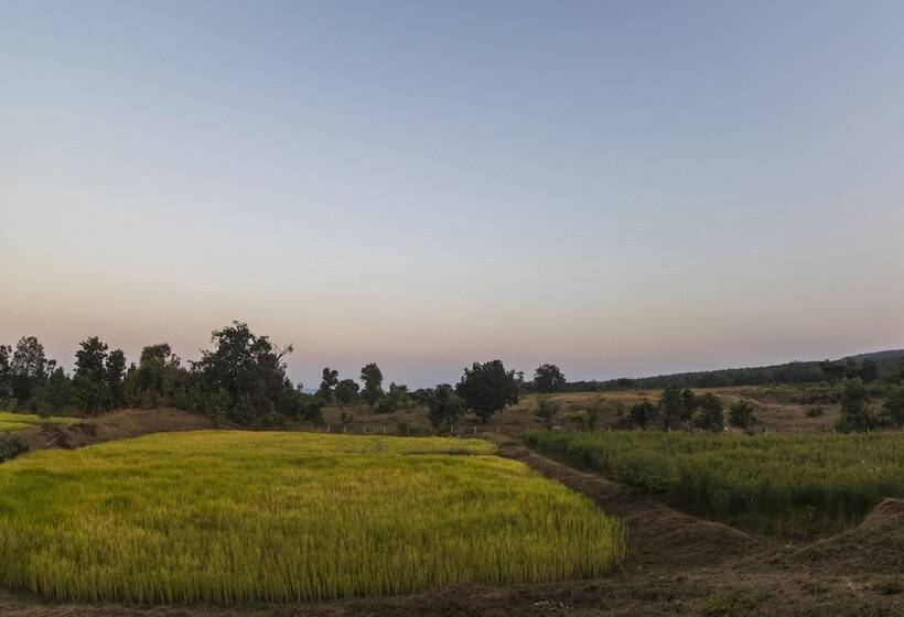 Hotel Wow Stayz2 Pachmarhi Foothill Cottages