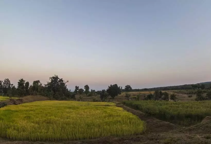 Hotelli Wow Stayz2 Pachmarhi Foothill Cottages