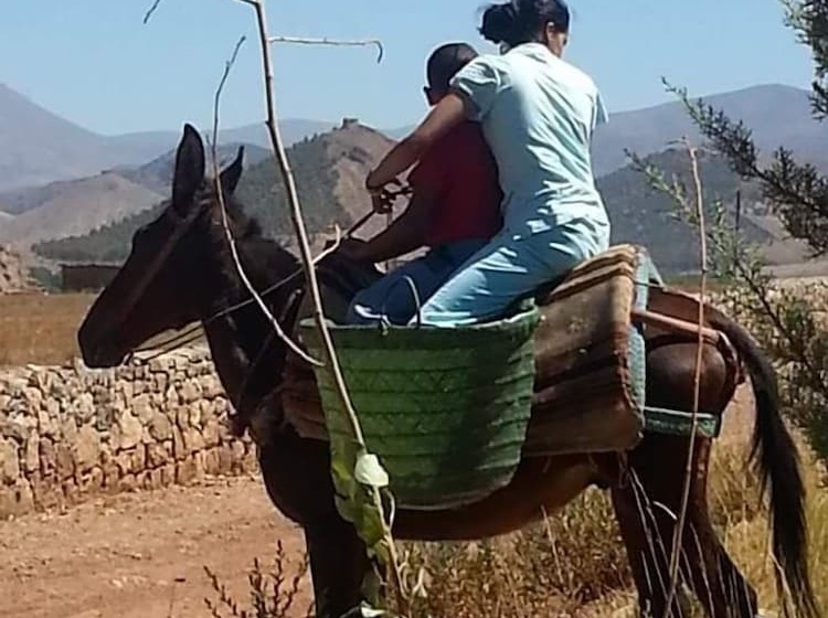 Pension (Hôtel basse catégorie) Dar Aya Atlas