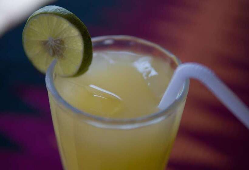 Пансион Myart Homestay