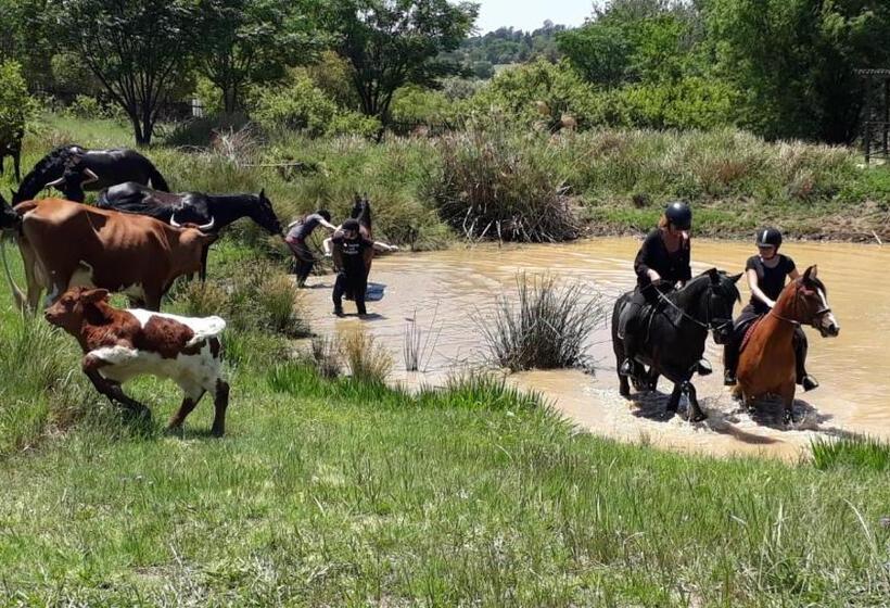 بنسيون Offgrid Farm