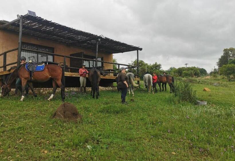 بنسيون Offgrid Farm