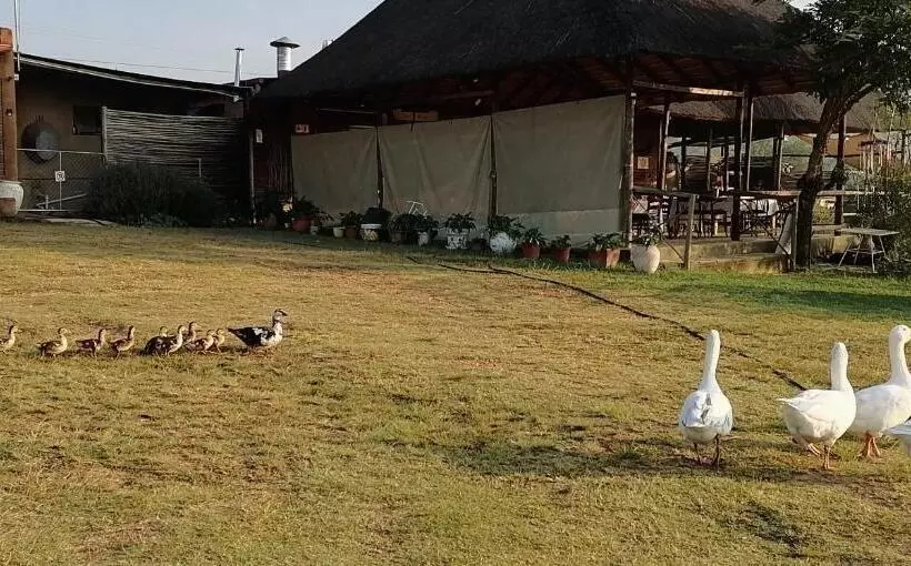 Pension Offgrid Farm