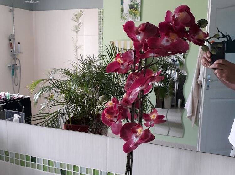 بنسيون Les Chambres D Hotes Pastelle