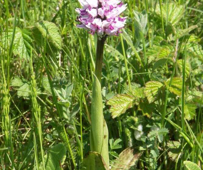 Pensjonat Réserve Naturelle De Boussière