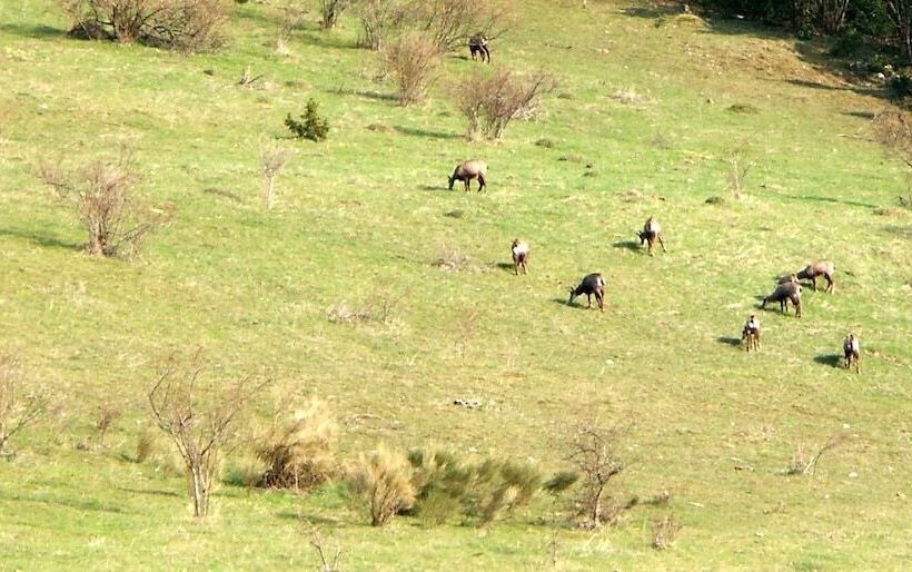 Pensjonat Réserve Naturelle De Boussière
