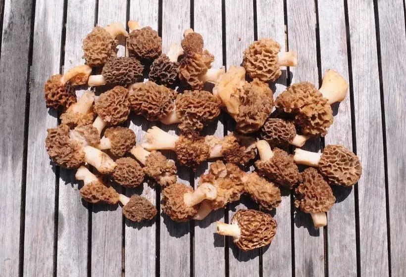 Majatalo Réserve Naturelle De Boussière