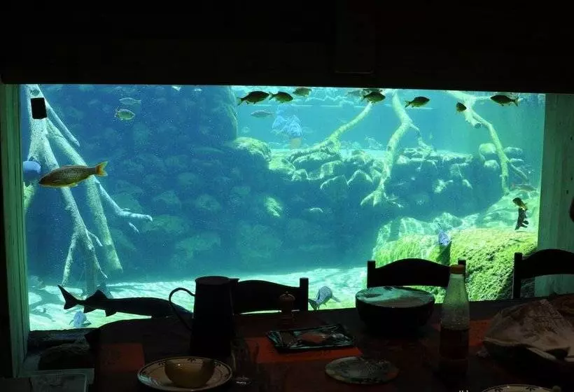 Majatalo Réserve Naturelle De Boussière