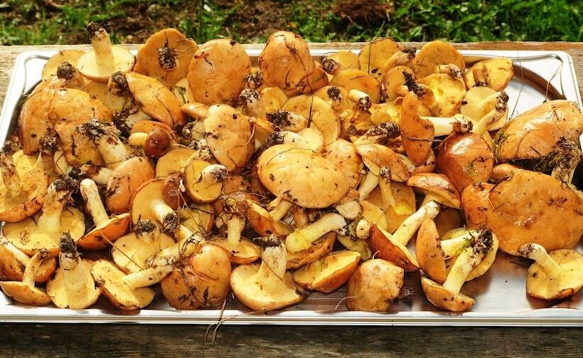 Pensjonat Réserve Naturelle De Boussière