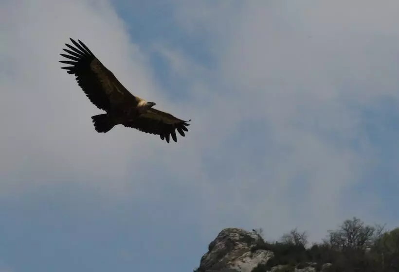 Majatalo Réserve Naturelle De Boussière