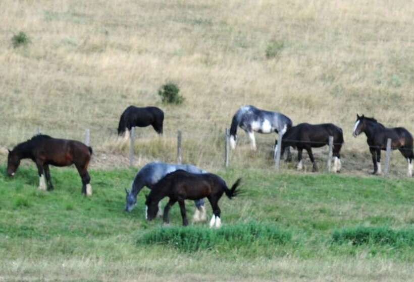 Pensjonat Réserve Naturelle De Boussière