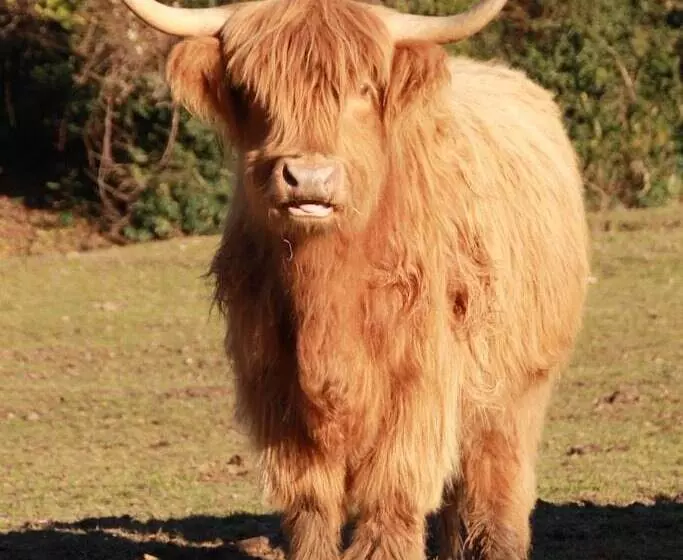 Majatalo Réserve Naturelle De Boussière