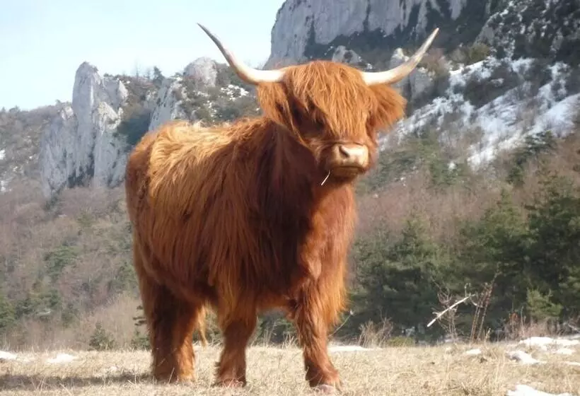 Majatalo Réserve Naturelle De Boussière