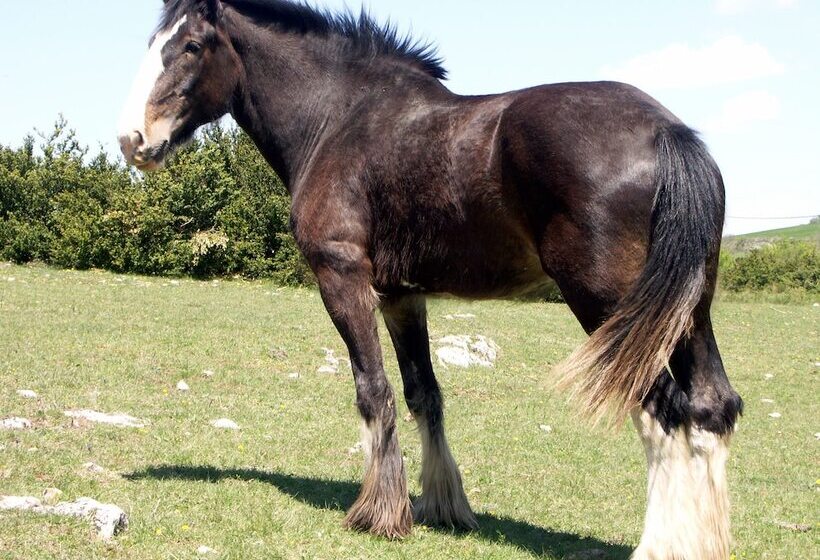 Pensjonat Réserve Naturelle De Boussière