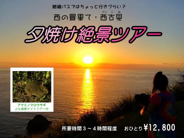 Hostel Amami Guest House Showaso