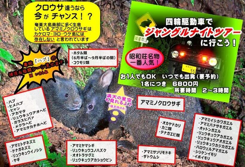 Hostel Amami Guest House Showaso