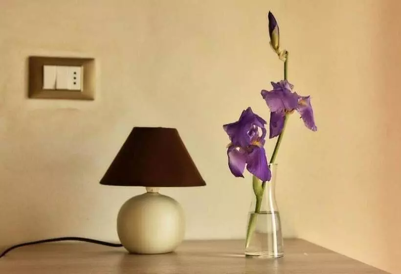 Aamiaismajoitus (B&B) Callort