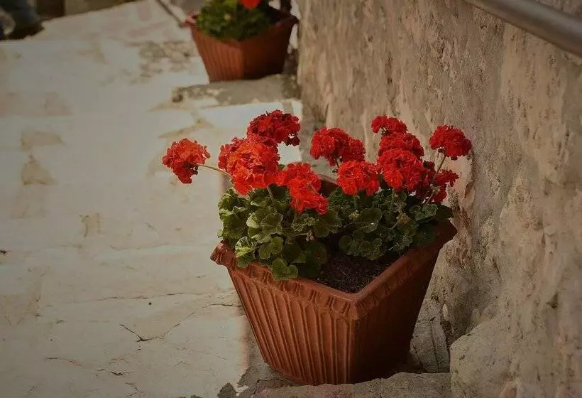 Aamiaismajoitus (B&B) Callort