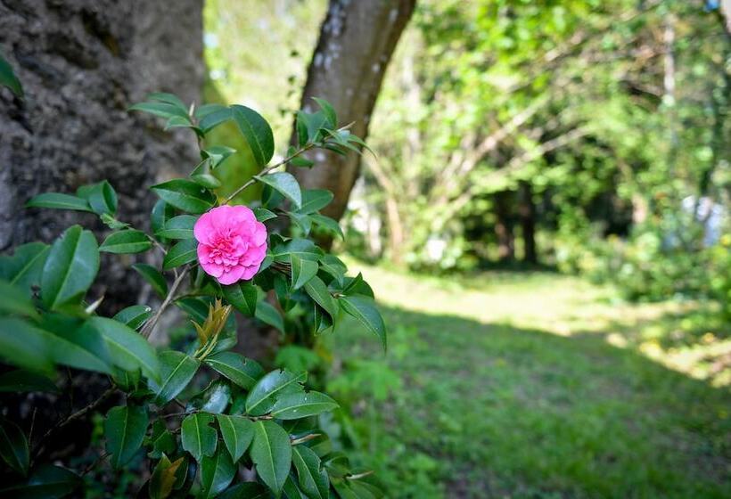 צימר Château De La Grand'cour