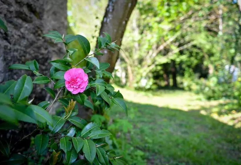 Aamiaismajoitus (B&B) Château De La Grand'cour