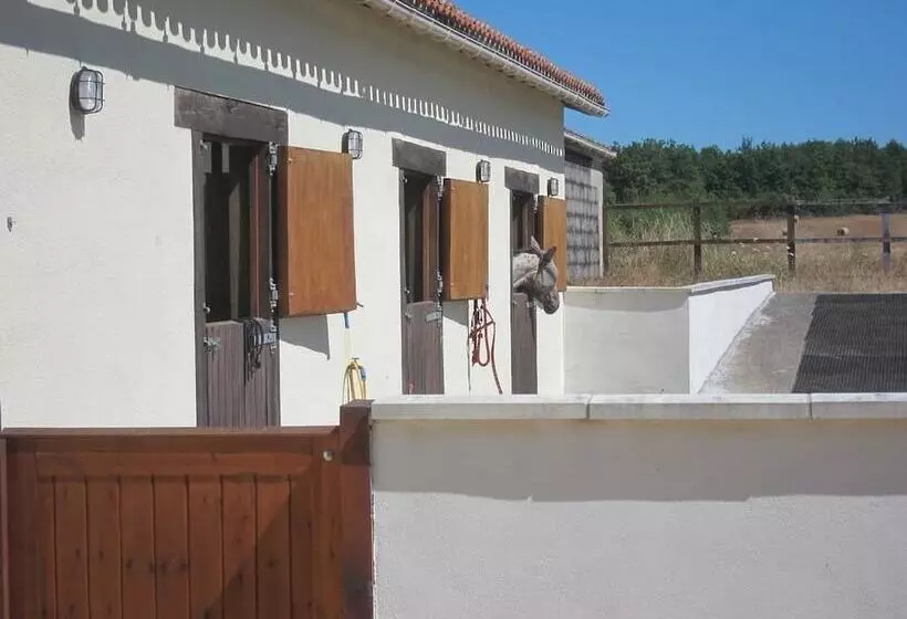 Bed and Breakfast Les Roffies