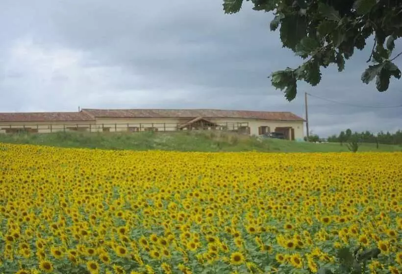 Bed and Breakfast Les Roffies