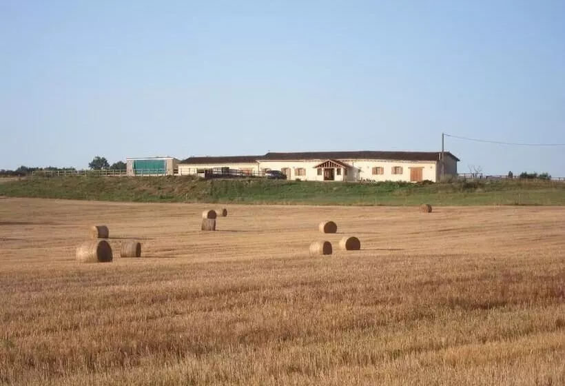 Bed and Breakfast Les Roffies