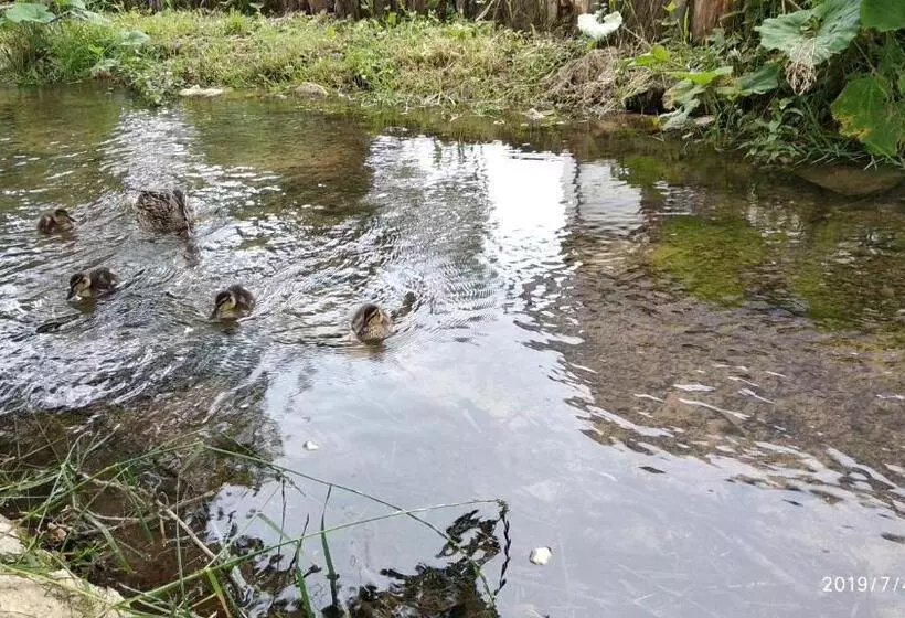 Aamiaismajoitus (B&B) Plitvice Streaming