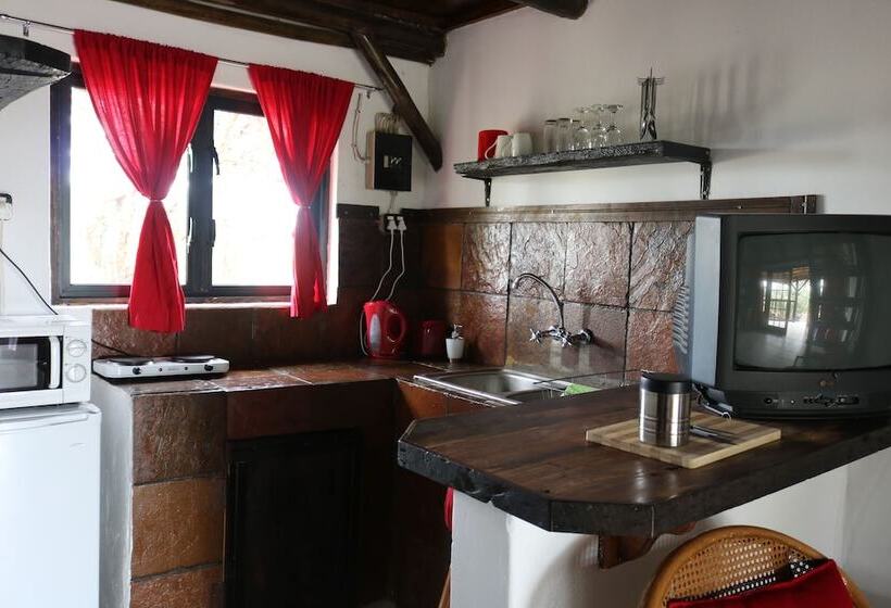 فندق Boskoppie Lion & Tiger Reserve