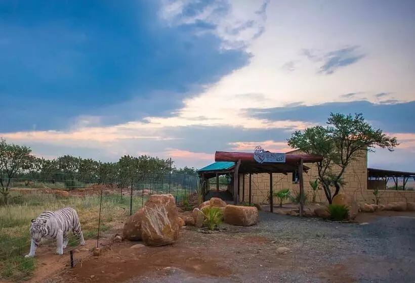 ホテル Boskoppie Lion & Tiger Reserve