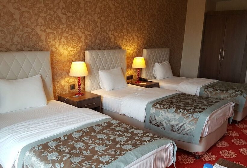 בית מלון כפרי Cakici