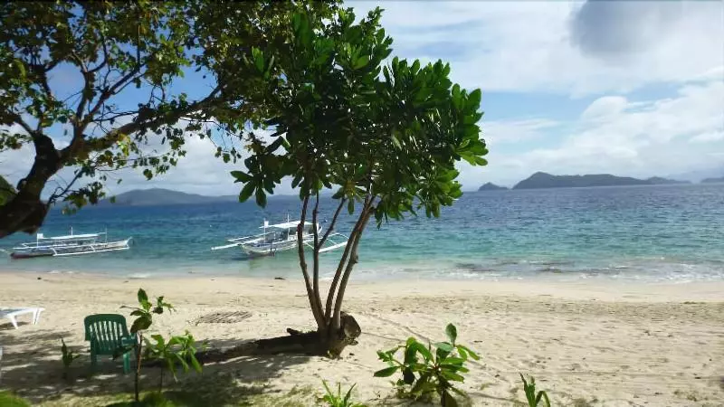 ホテル Coconut Garden Island Resort