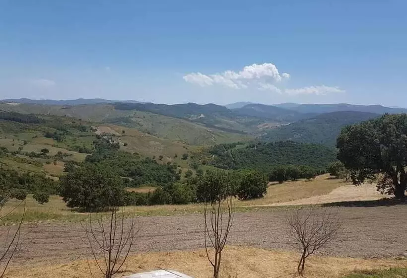 田舎風ホテル Agriturismo Antico Casale