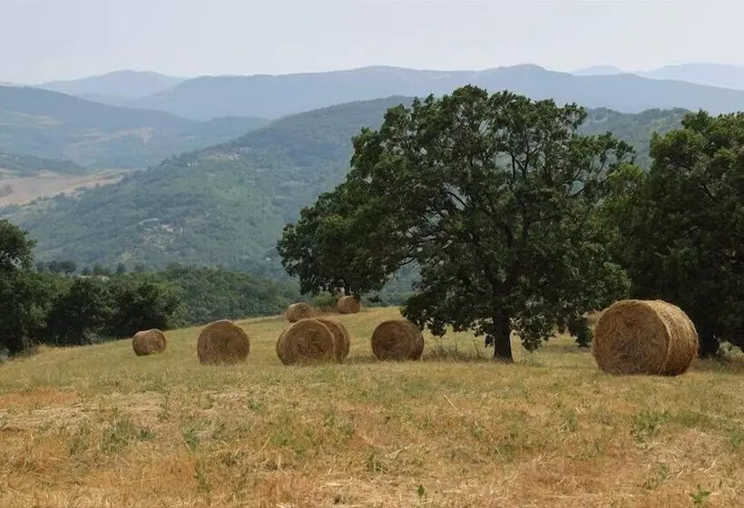 田舎風ホテル Agriturismo Antico Casale