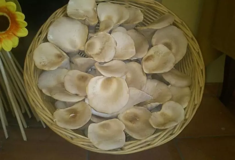 田舎風ホテル Agriturismo Antico Casale