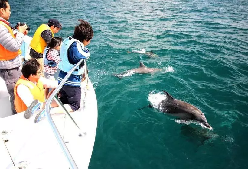 ホテル Seacruise House Navio