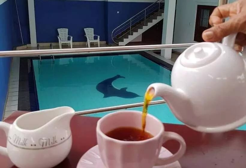 ペンション Ayansa Villa